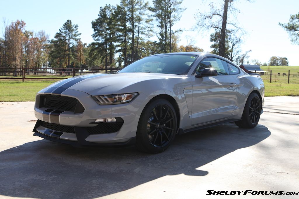2015 GT 350