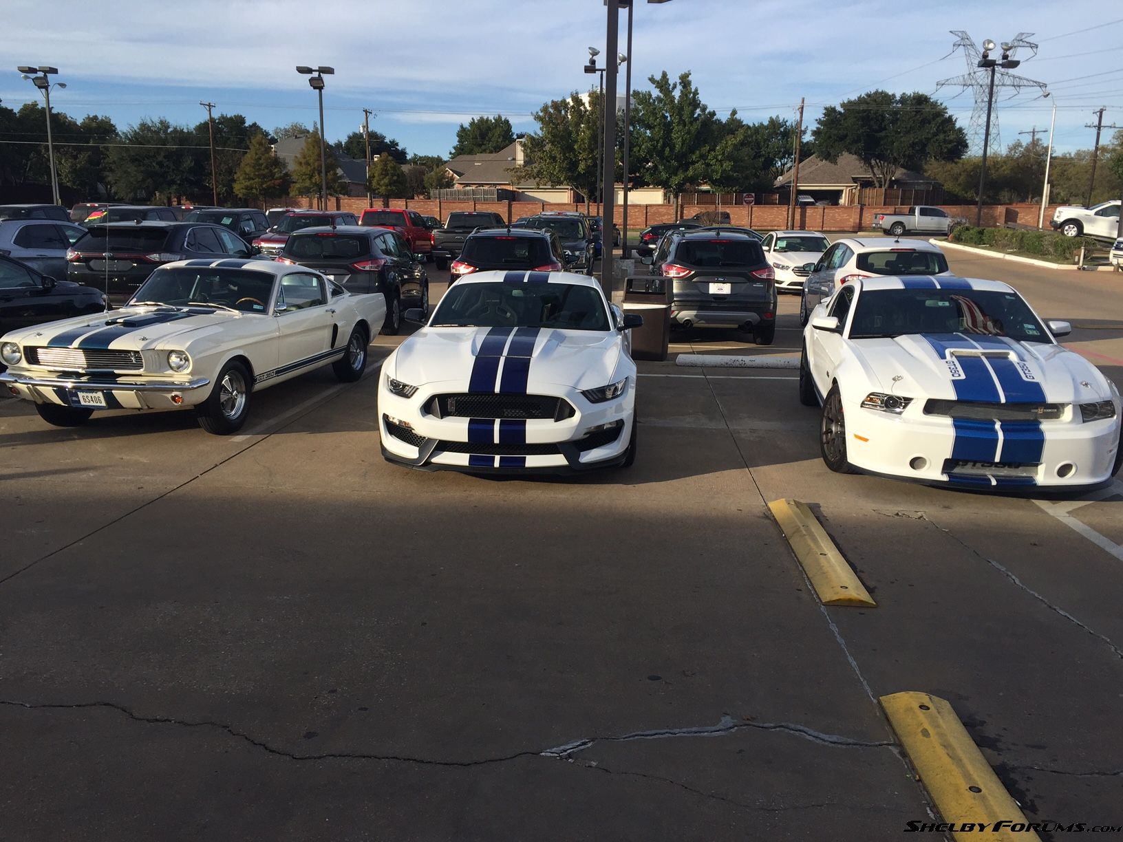 2015 GT350