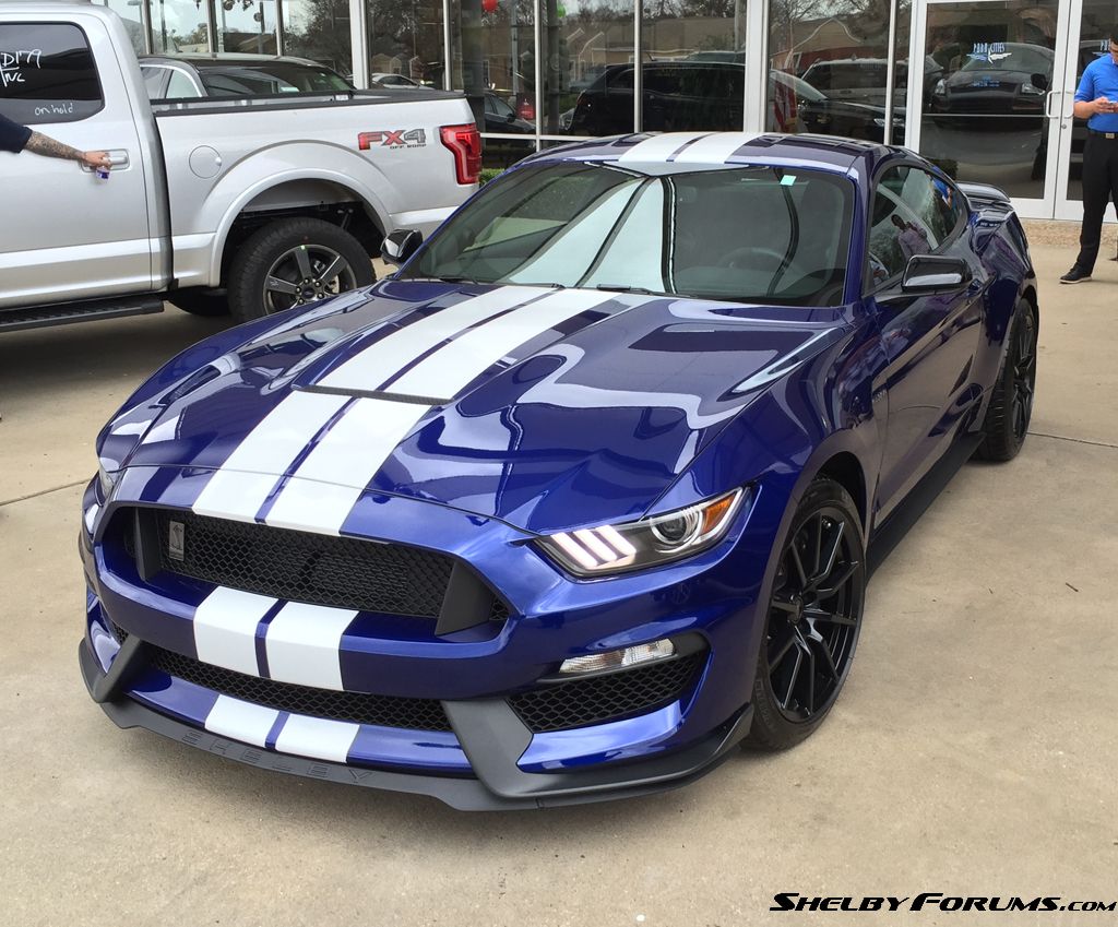 2015 Shelby GT350