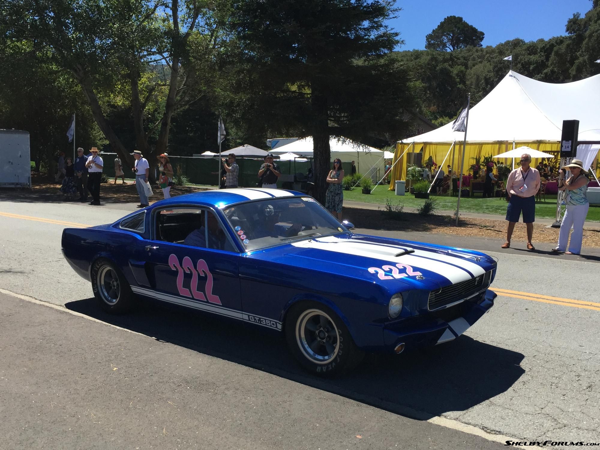 222-img 6866-monterey2015