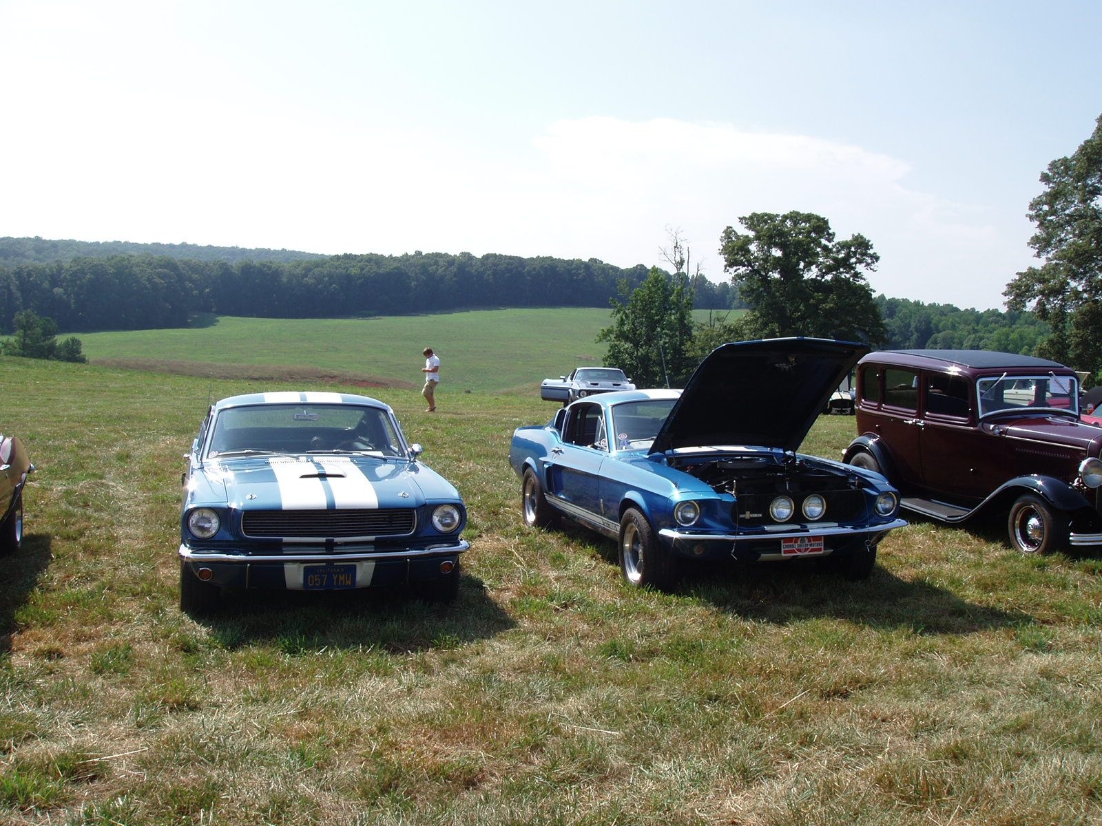 66 and 67 GT350's