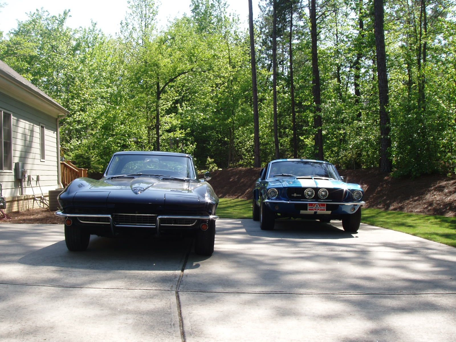 66 Vette, 67 GT350