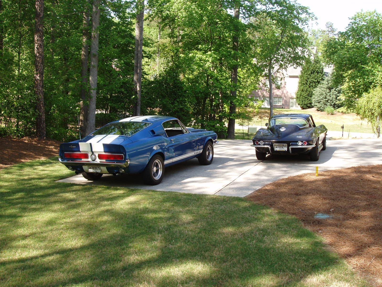 66 Vette, 67 GT350