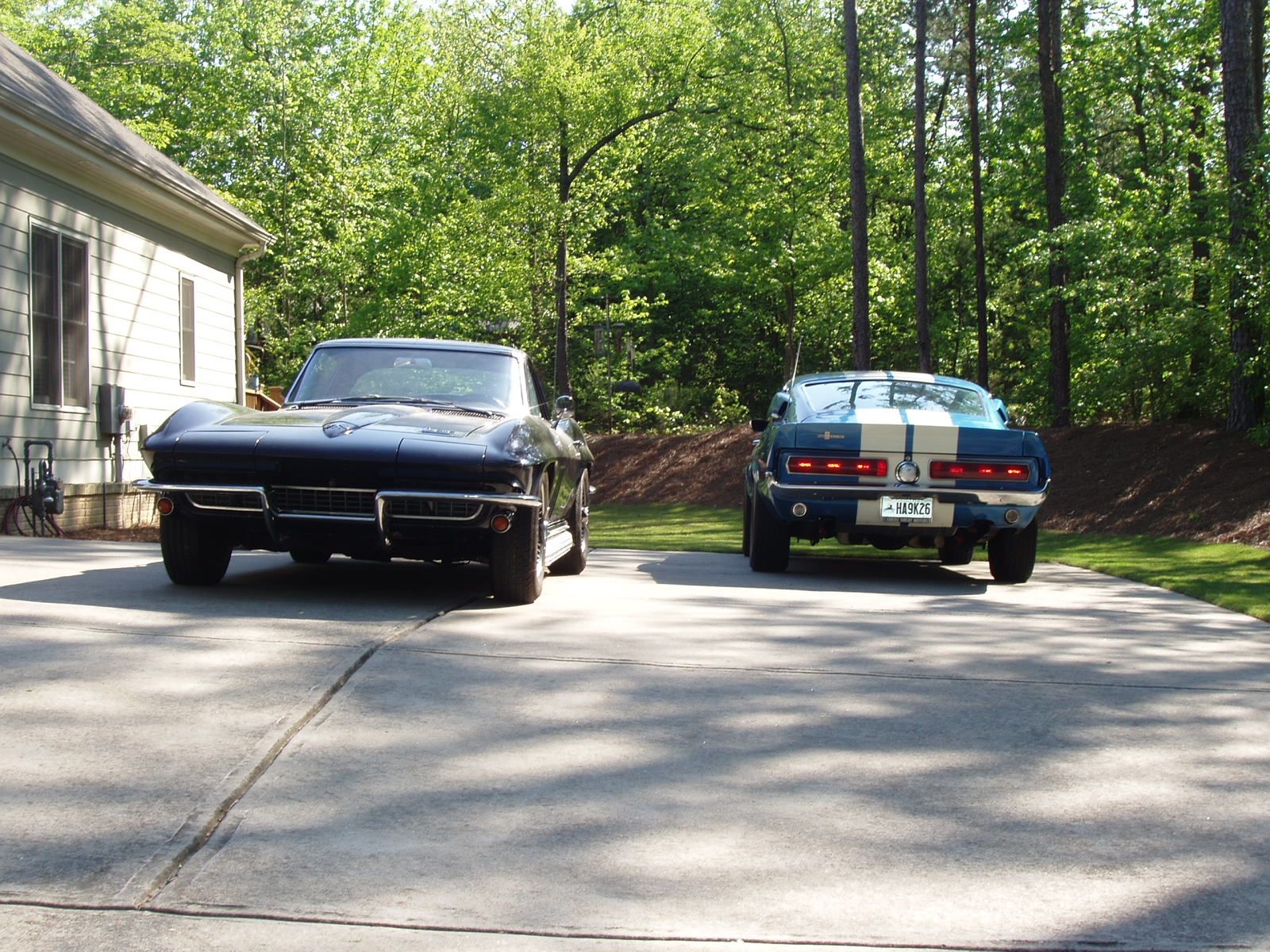 66 Vette, 67 GT350