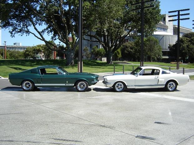 66GT350 and 67GT350