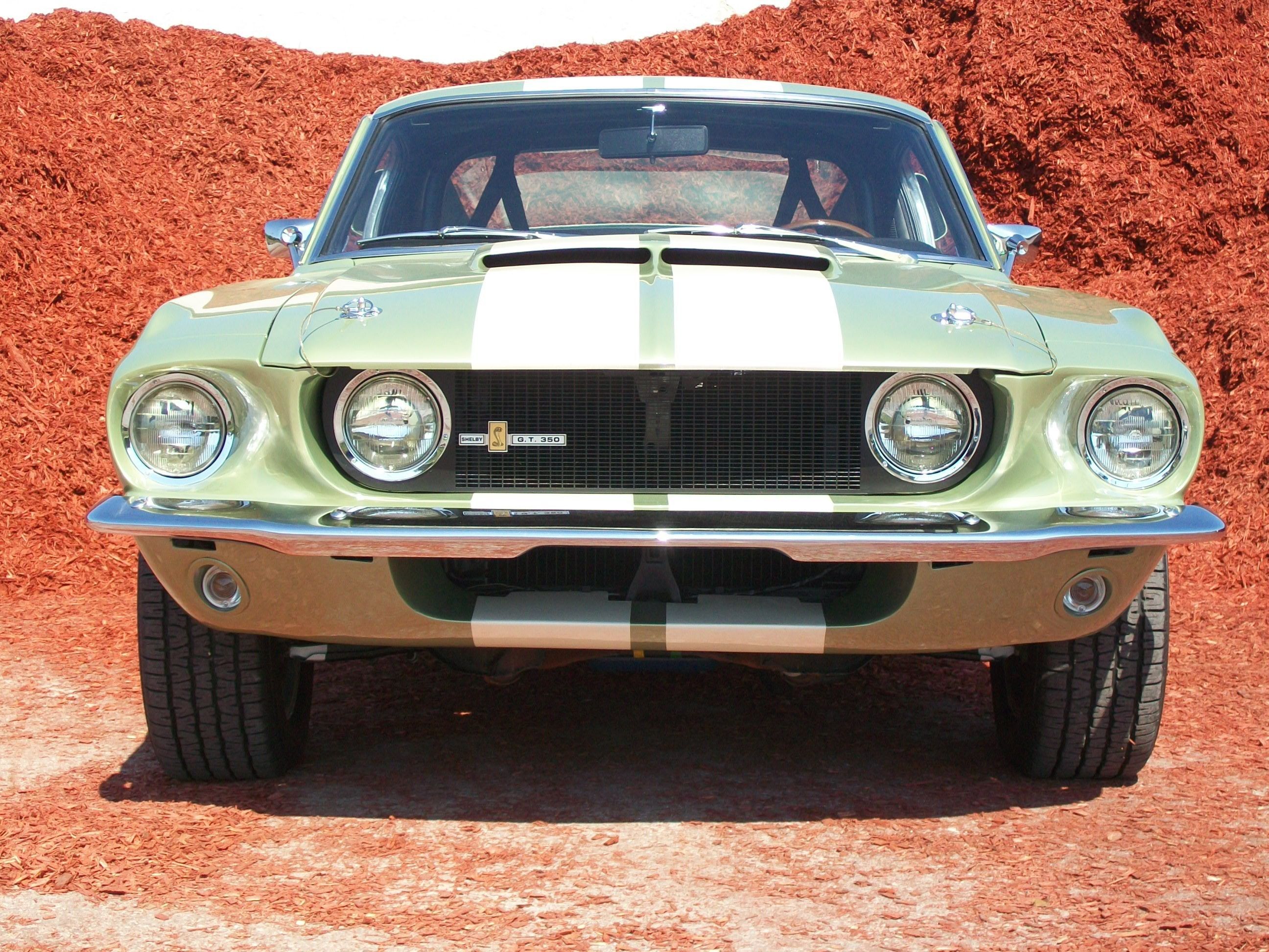 67 Gt350 #3000