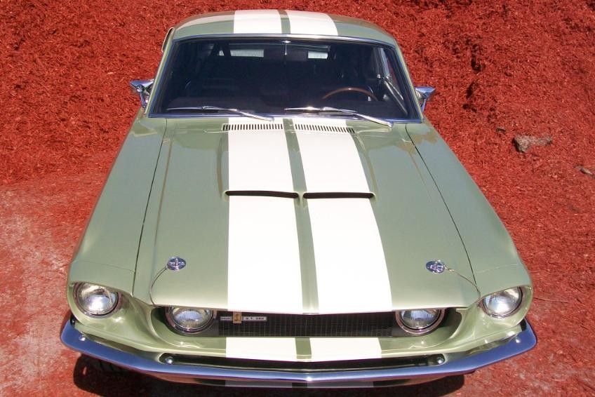 67 Gt350 #3000
