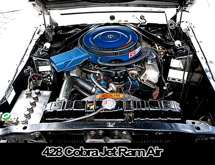 69 GT 500