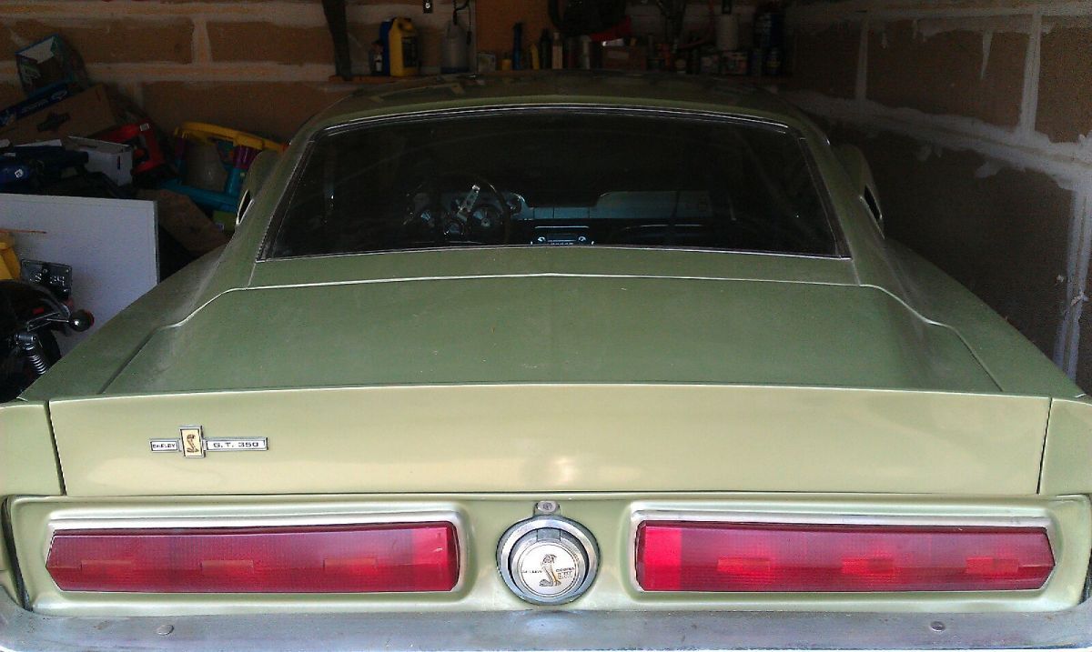 back of mustang