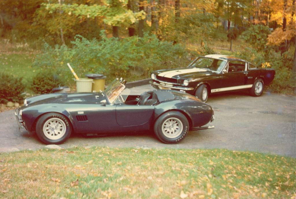 Cobra and GT 350