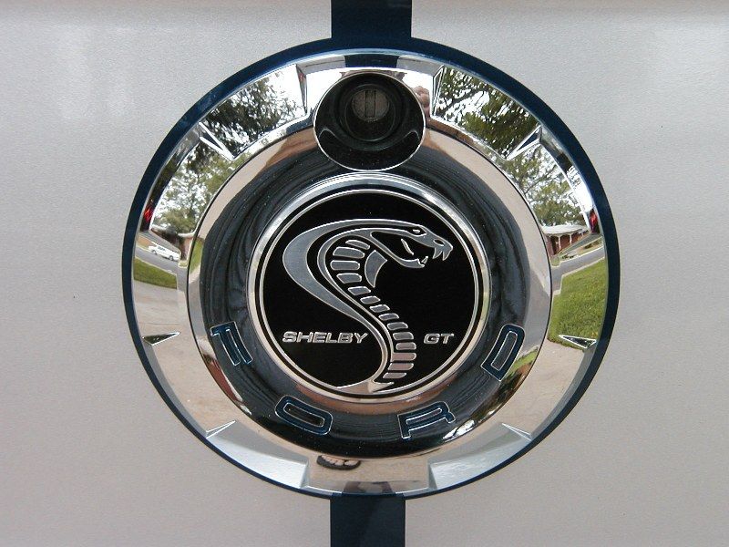 Custom Snake Steering Wheel Cap