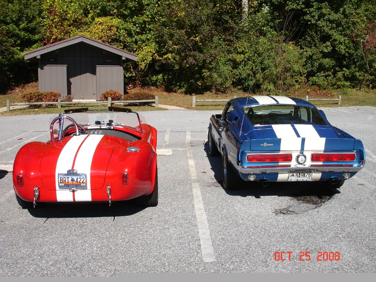 Fall Cruise 2008