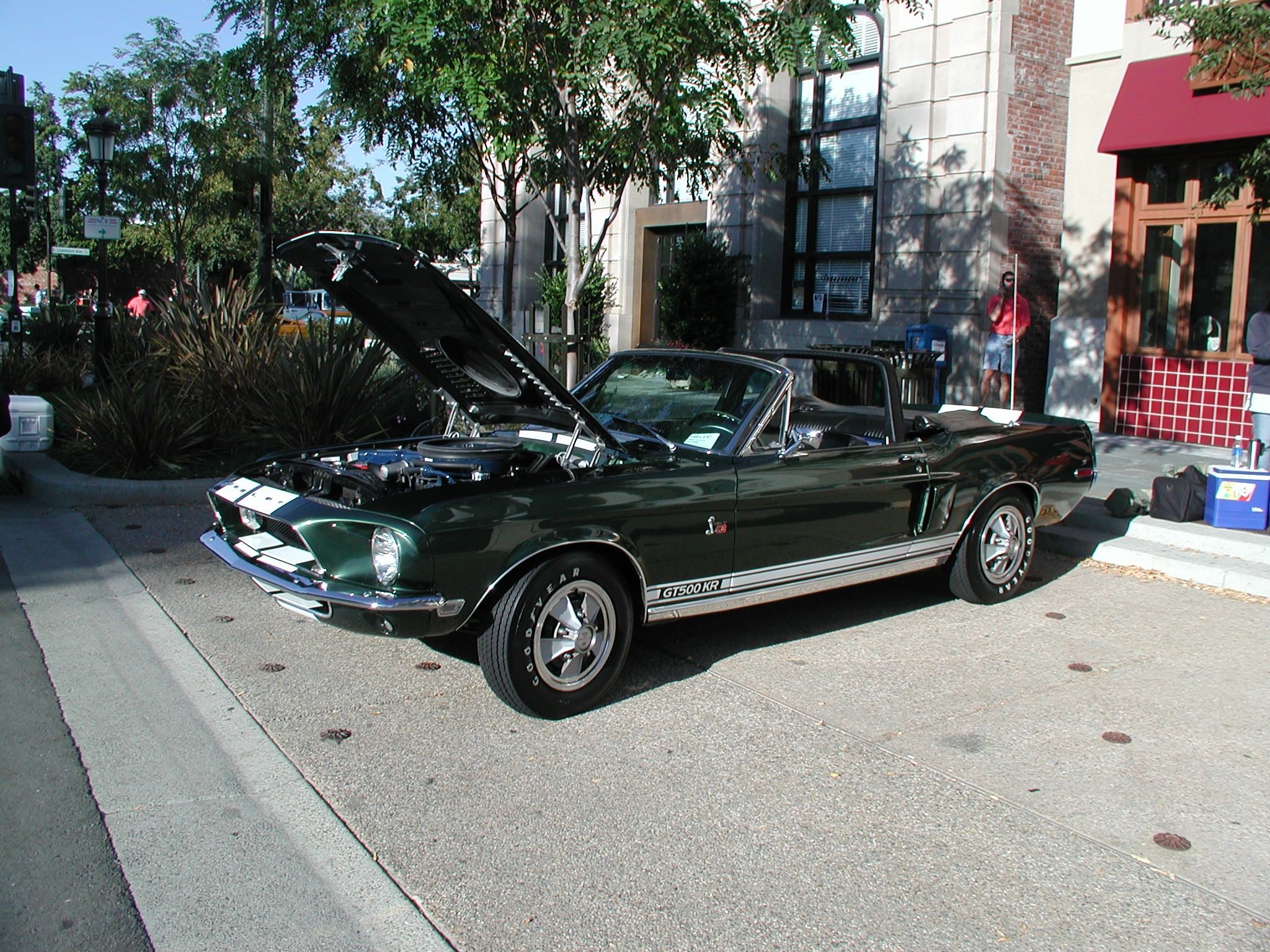 Finished!   Car Show Winner