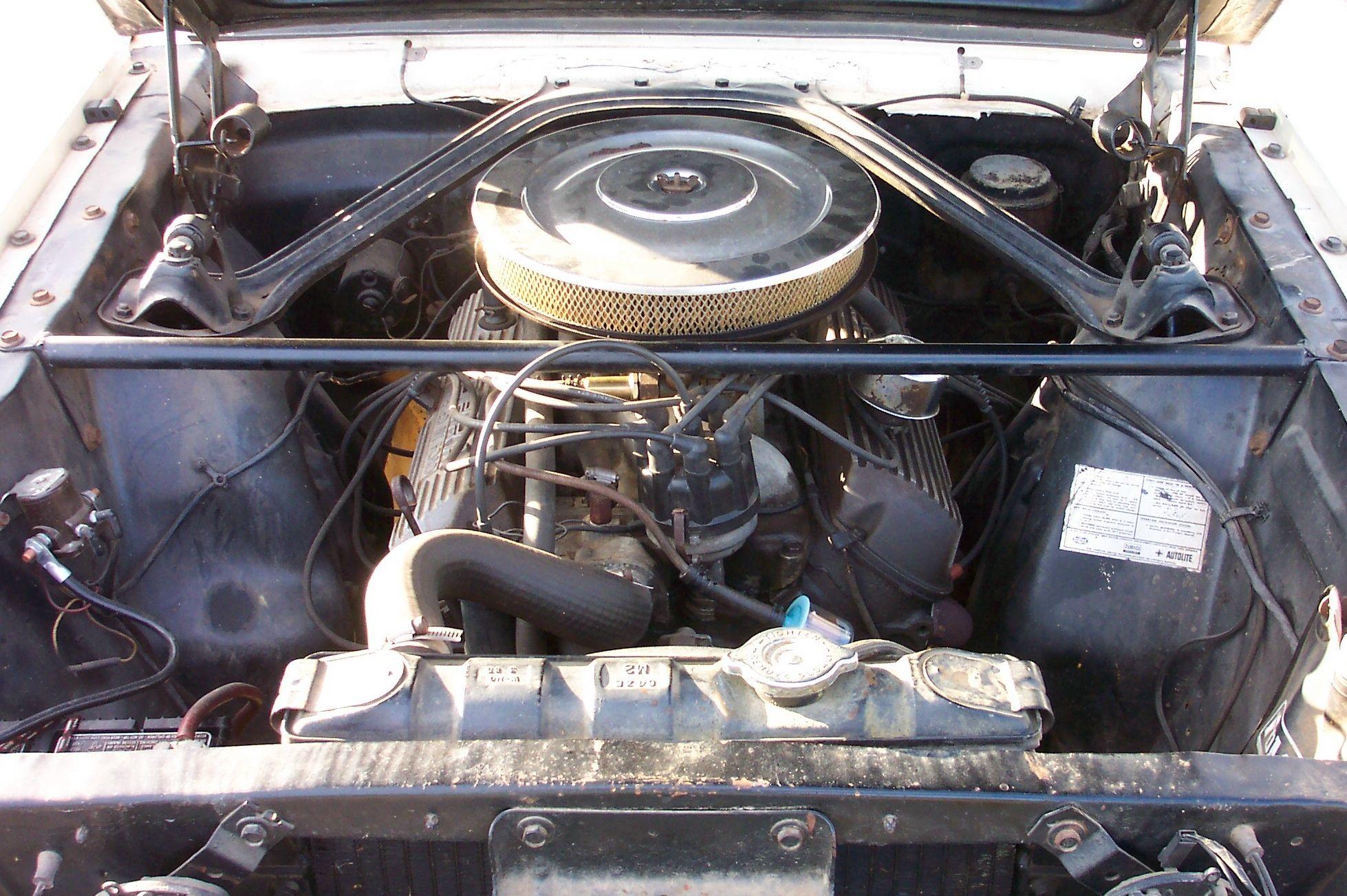 fnkmstr67 shelby