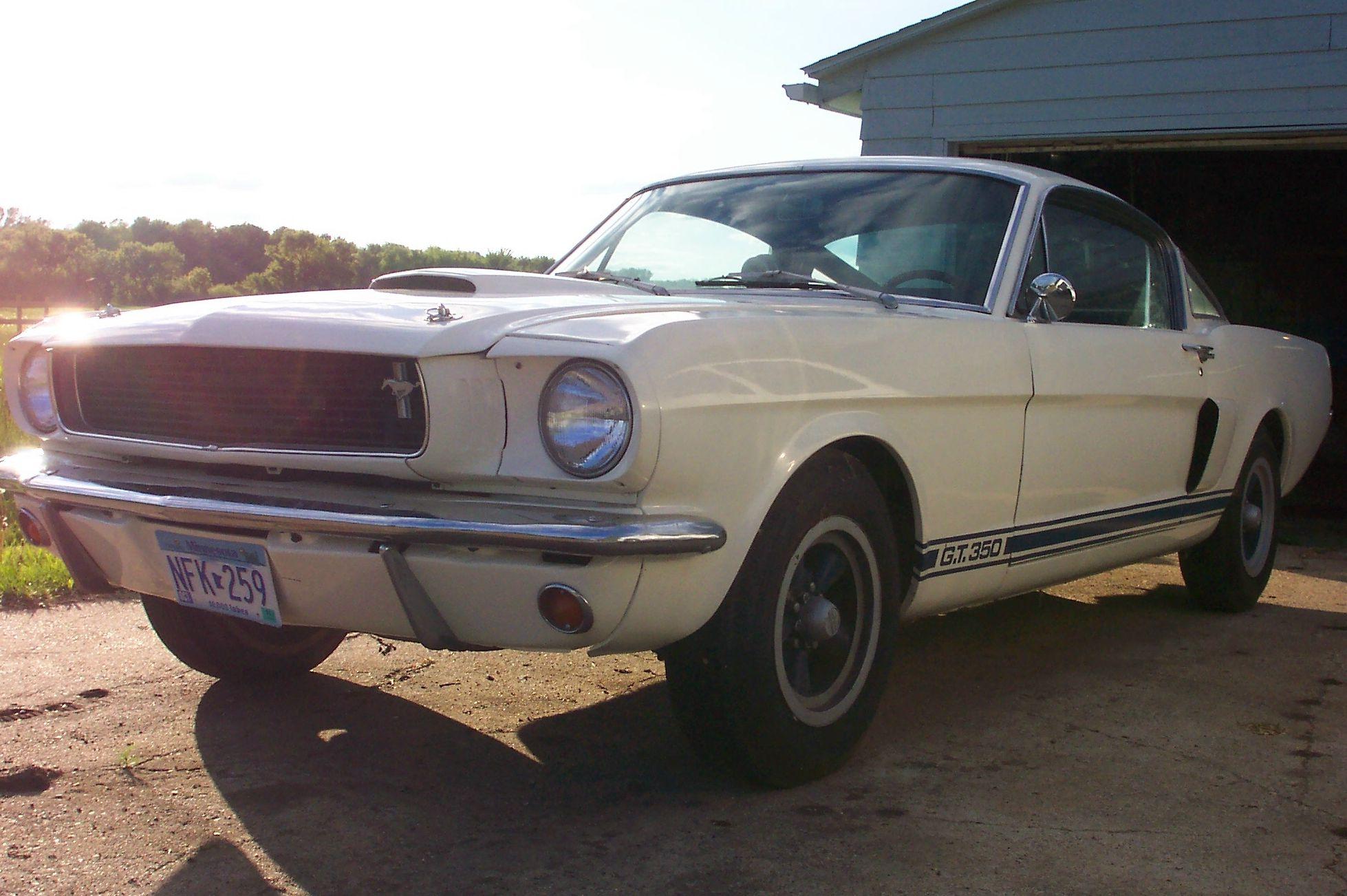 fnkmstr67 shelby