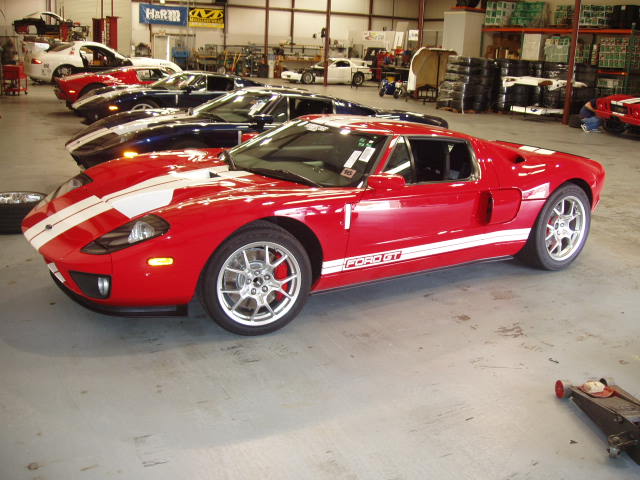 Ford GT's