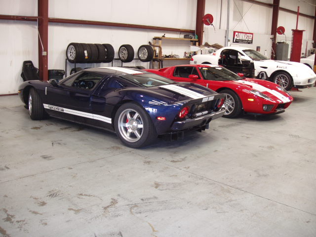 Ford GT's