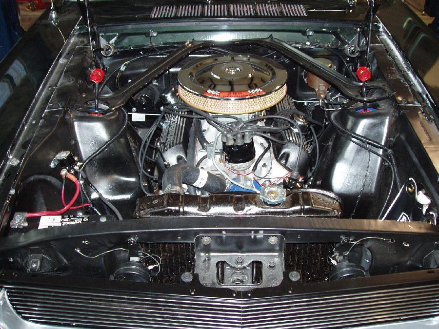 M006 progress update