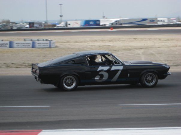 Mike Berejkoff Shelby