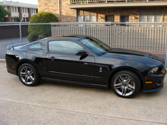 mustang 009