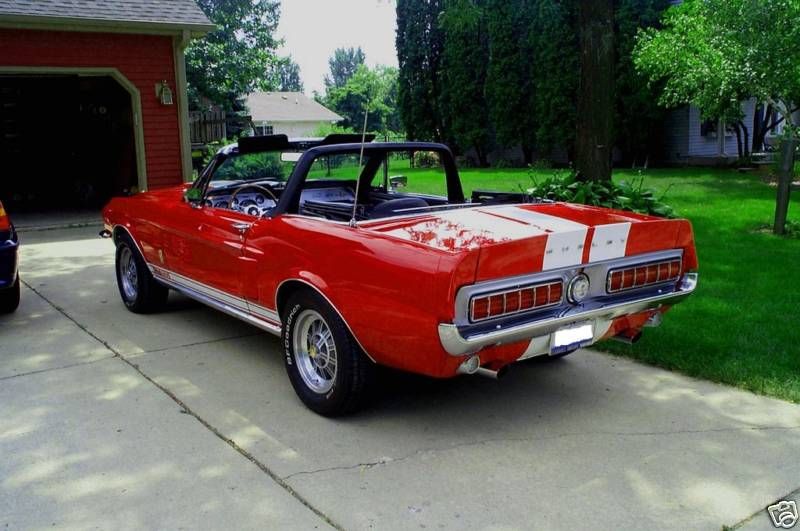 Mustang4