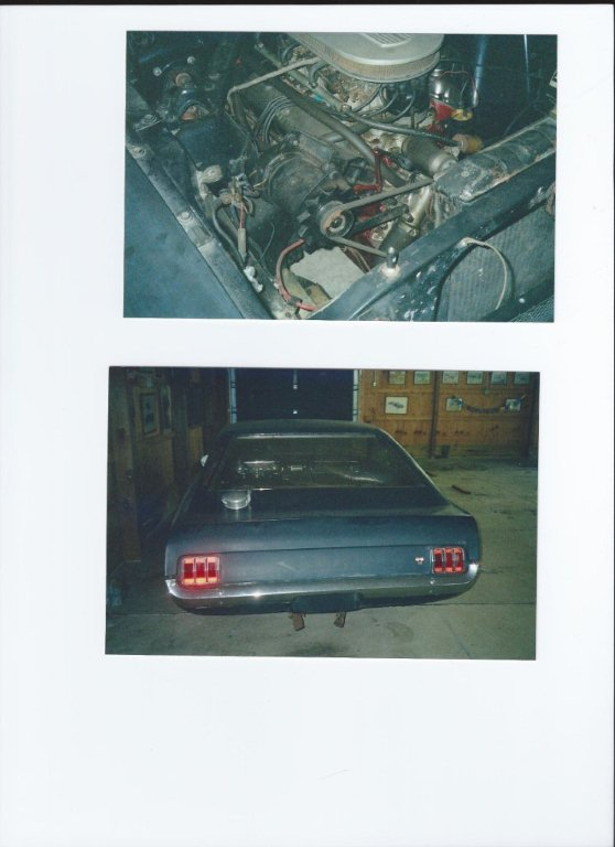 mustang4