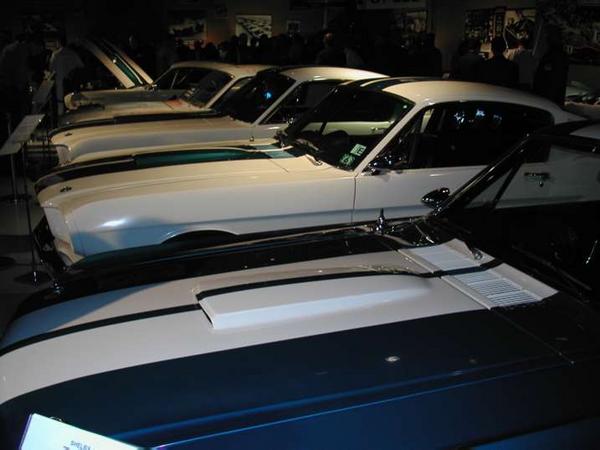 Mustangs Lined Up