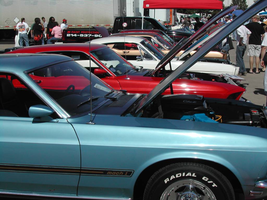 Mustangs lined up