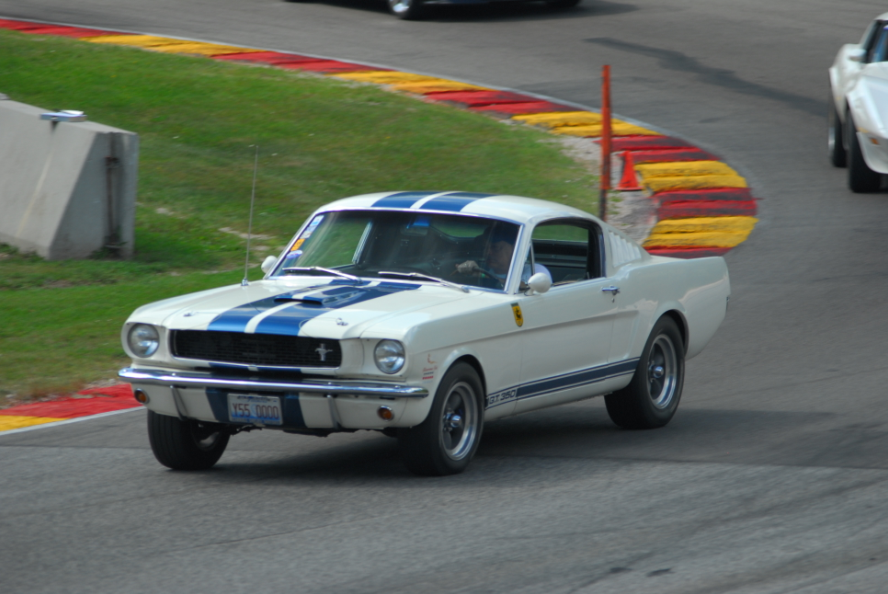 My 66' Shelby GT350 Tribute