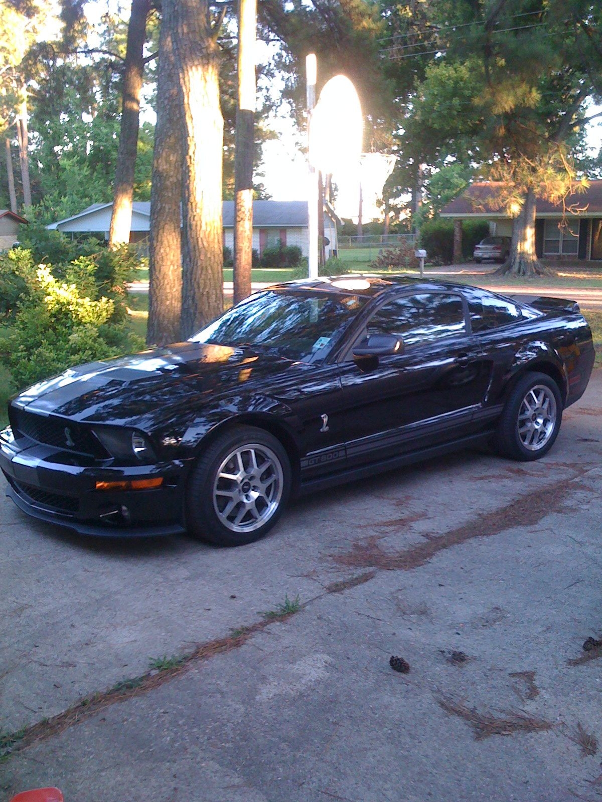 My BEAST