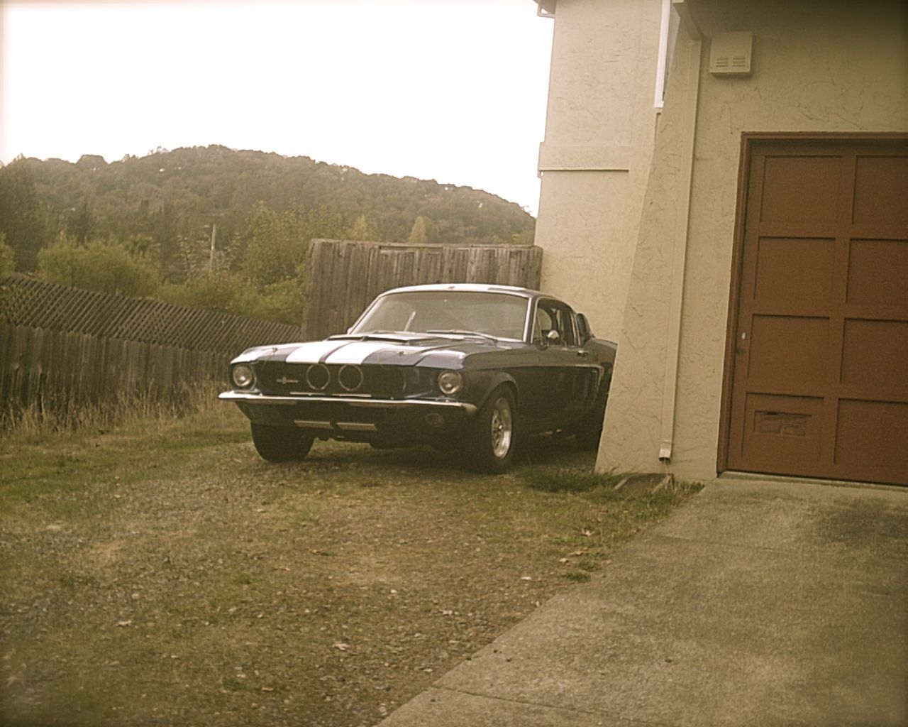 My GT350, a work in progress...