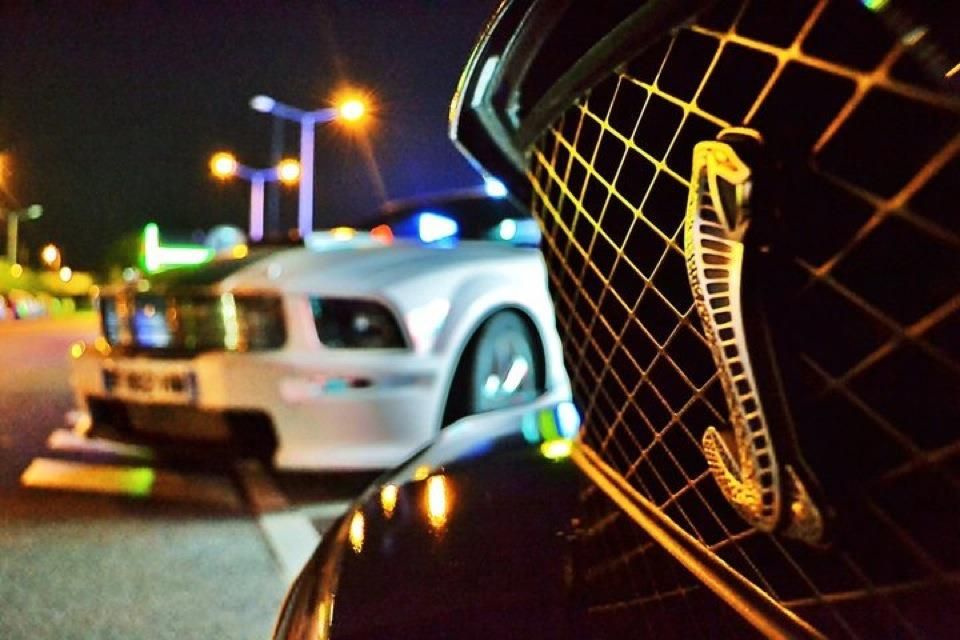 My Shelby GT500