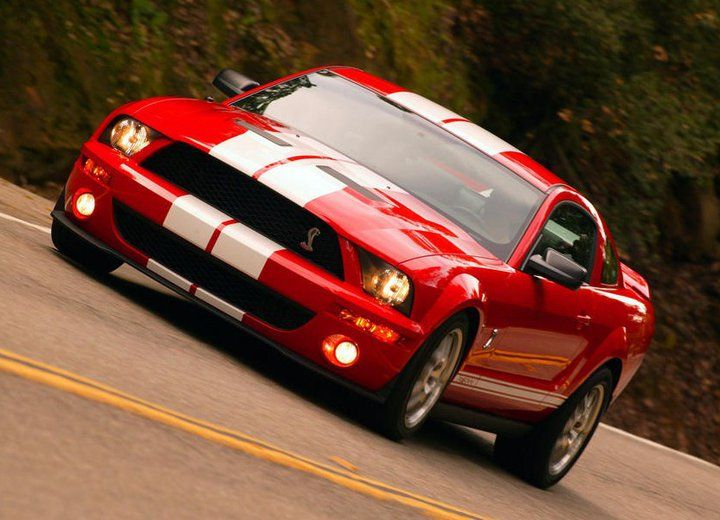 My Shelby