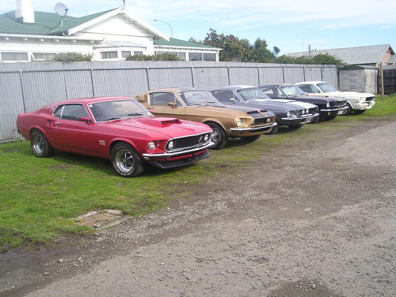 nice line up