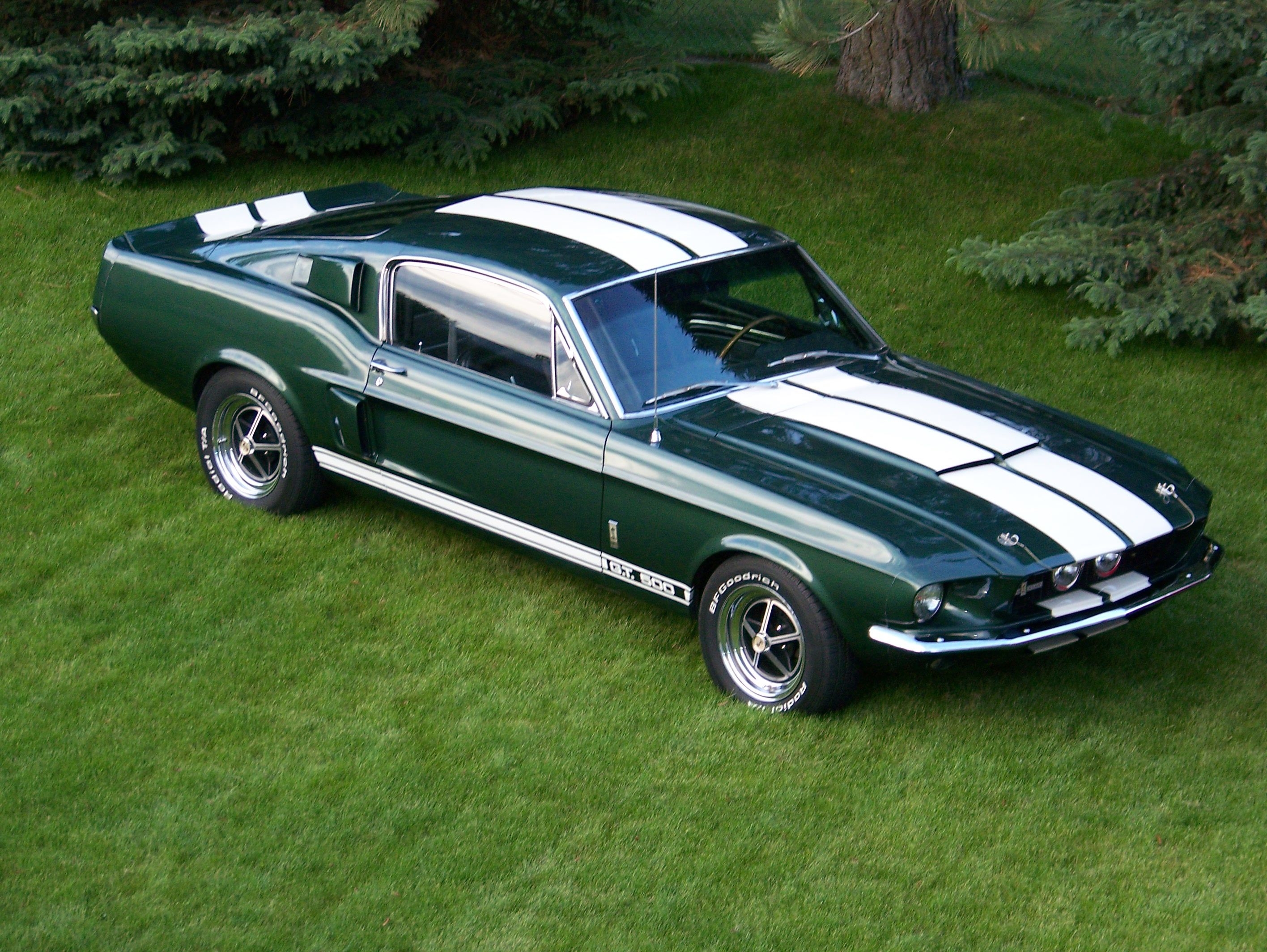 Our 67 GT500