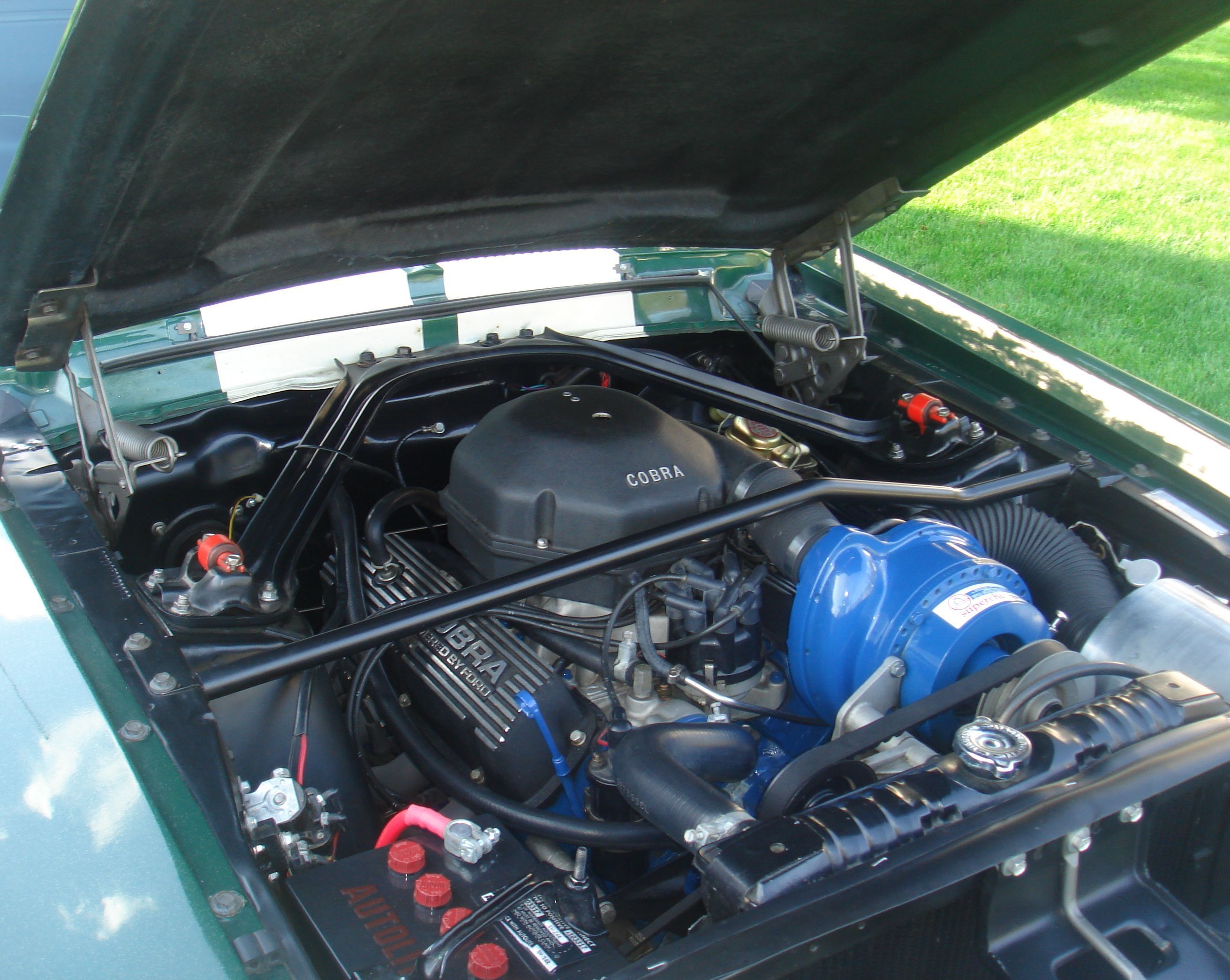 Shelby 1482 009
