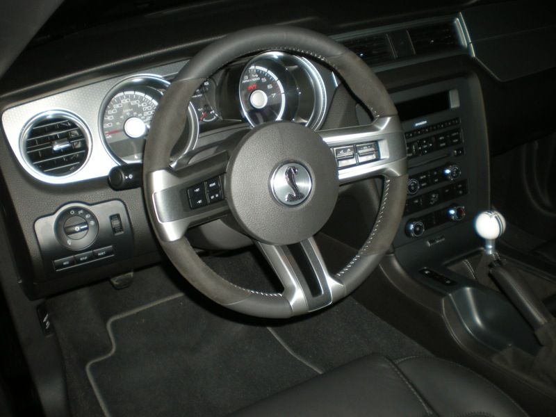 Shelby 2010
