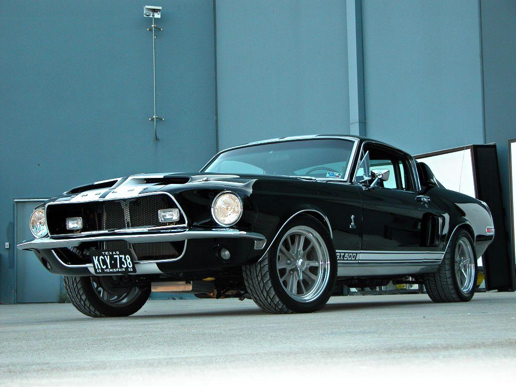 Shelby-27