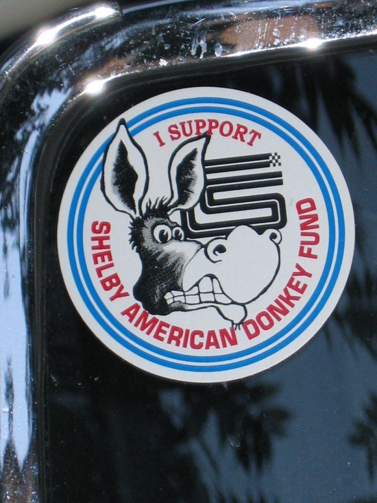 Shelby American Donkey Found