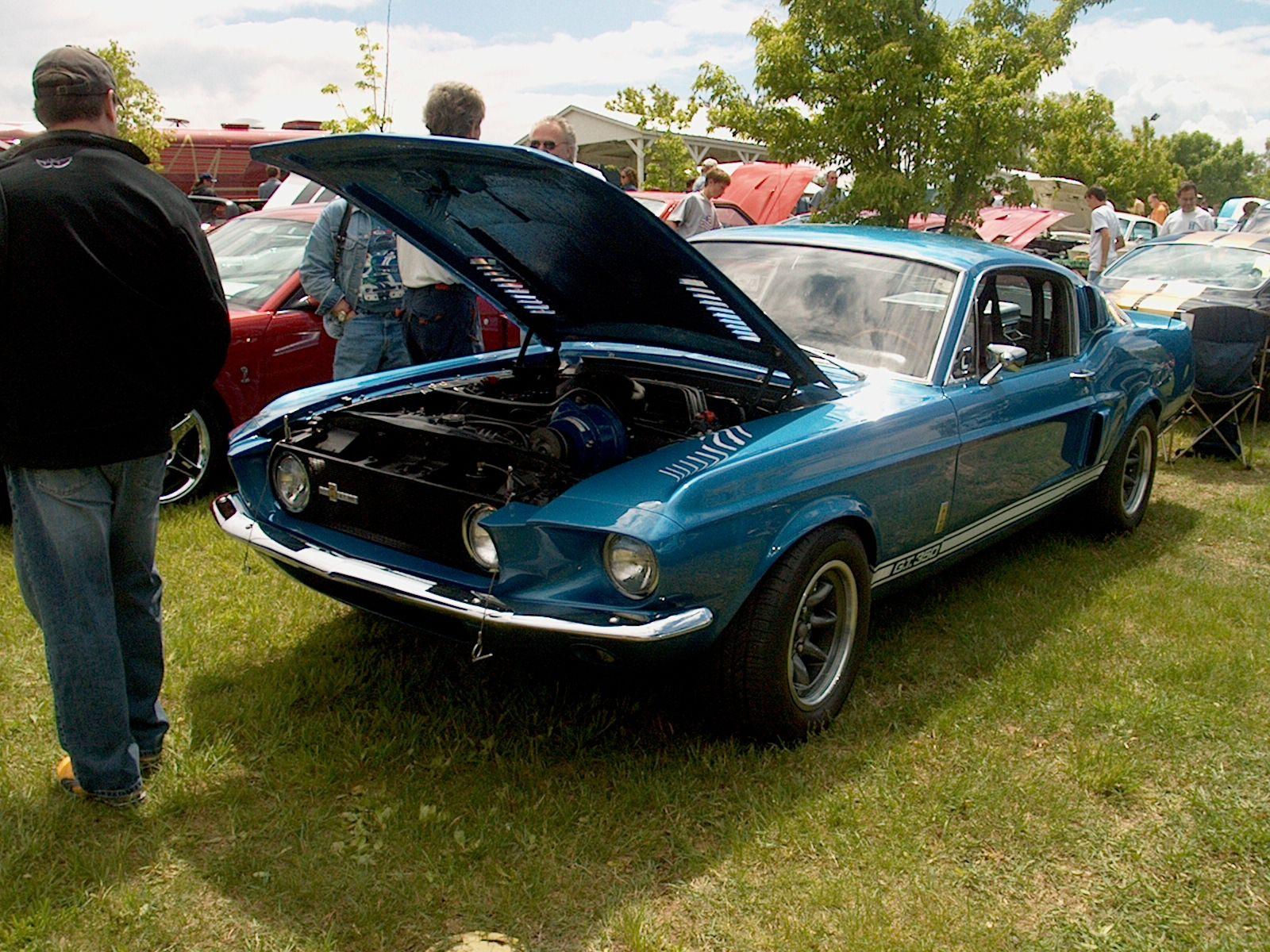 Shelby Old and New