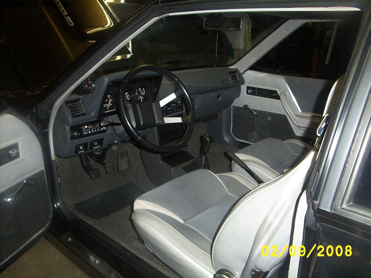 SHELBY PICS