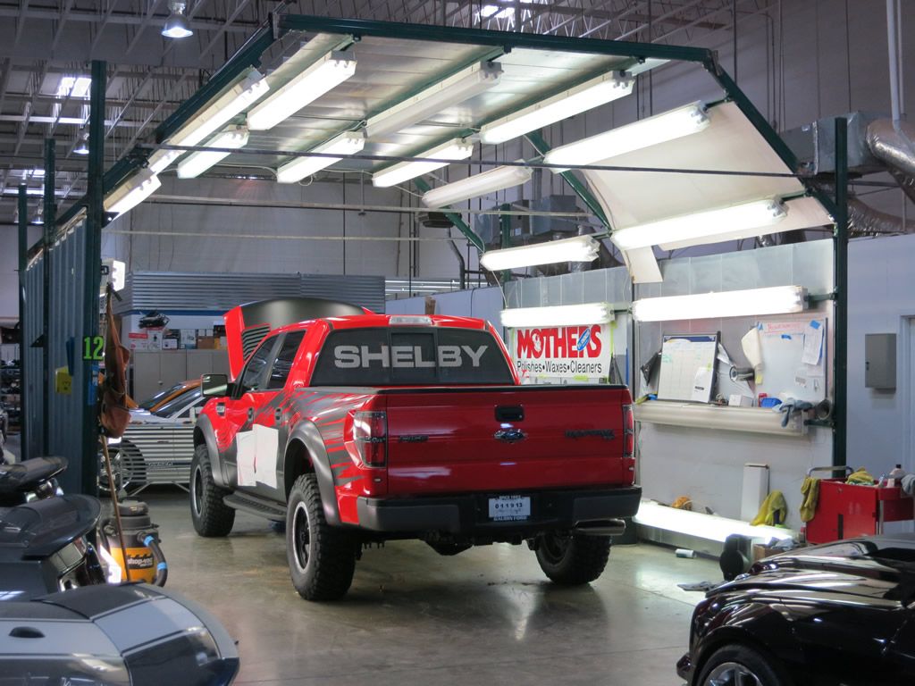 Shelby Raptor