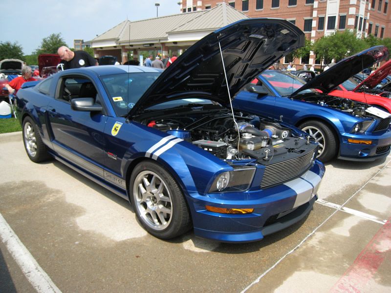 Shelby Shootout 2011 Shelby Gt