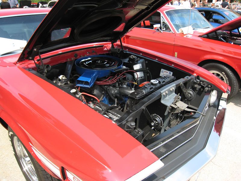 Shelby Shootout 2011