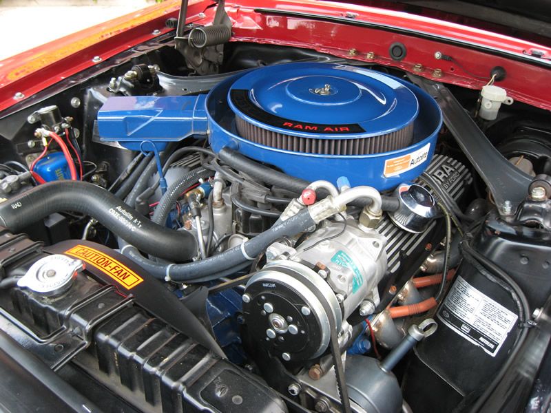 Shelby Shootout 2011