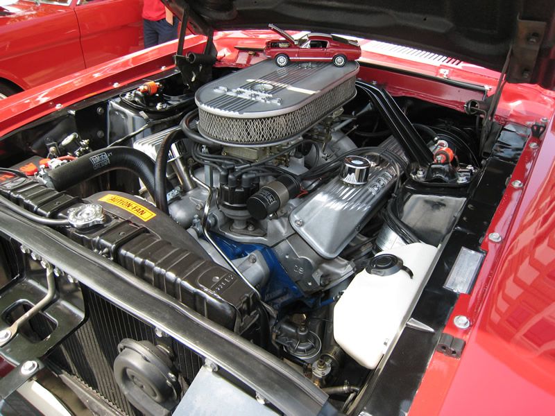 Shelby Shootout 2011