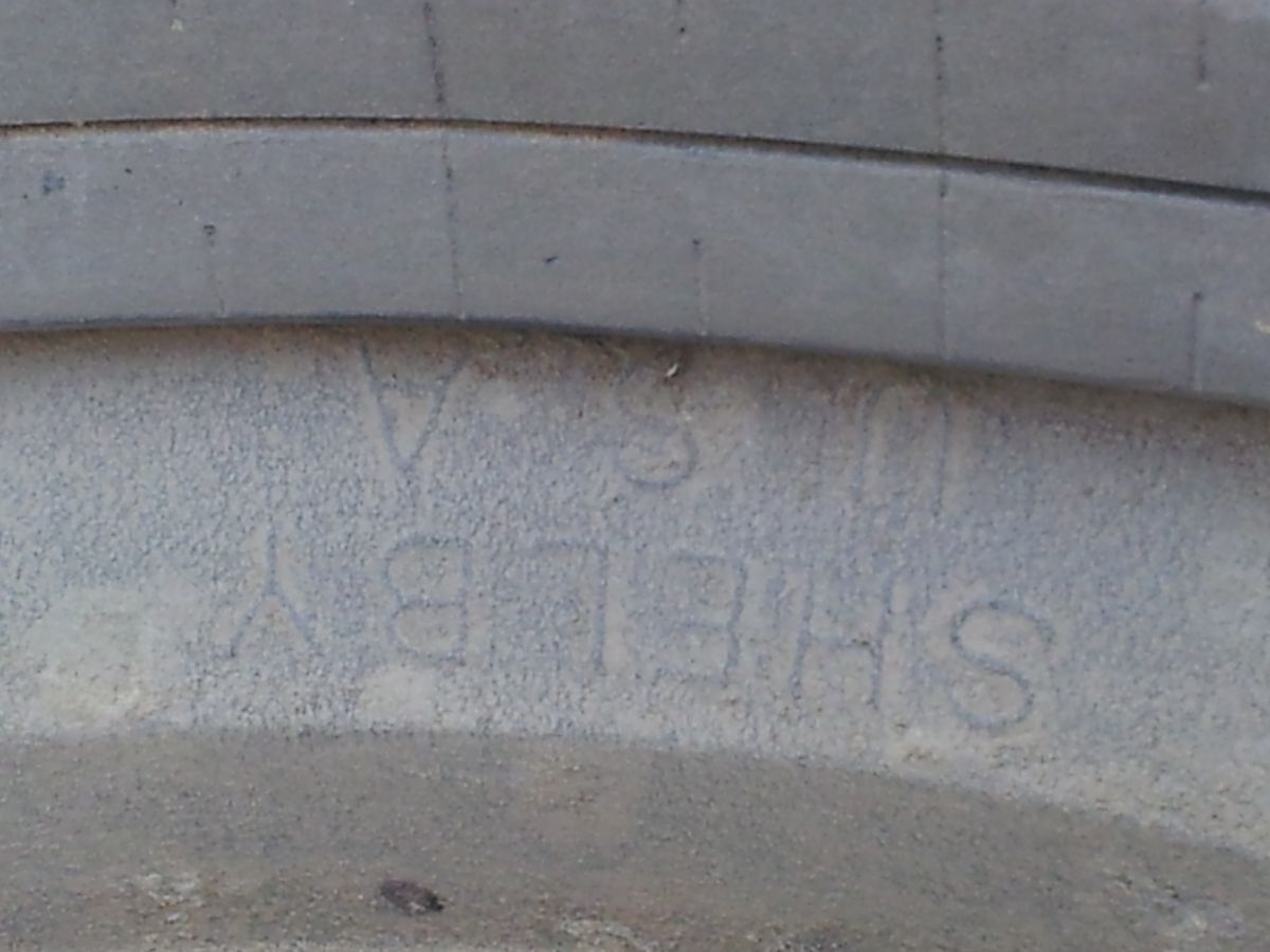 SHELBY WhEELS