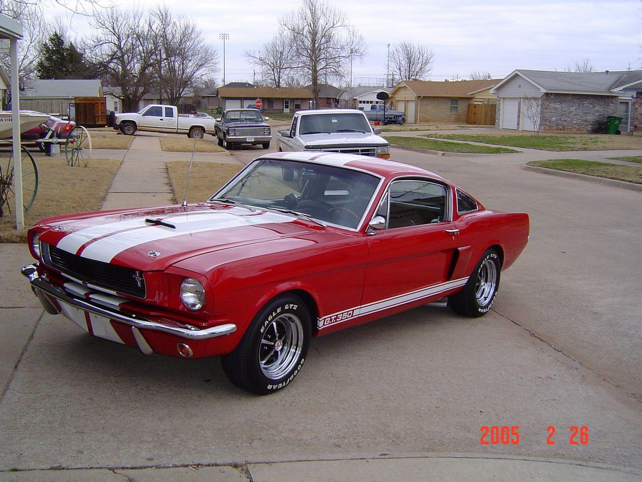 Shelby3_Feb2005