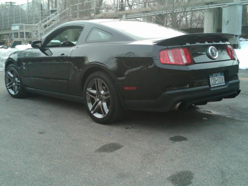 shelby6