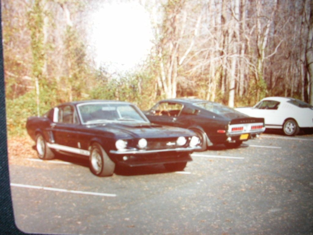 Small get together at a local park, 1977